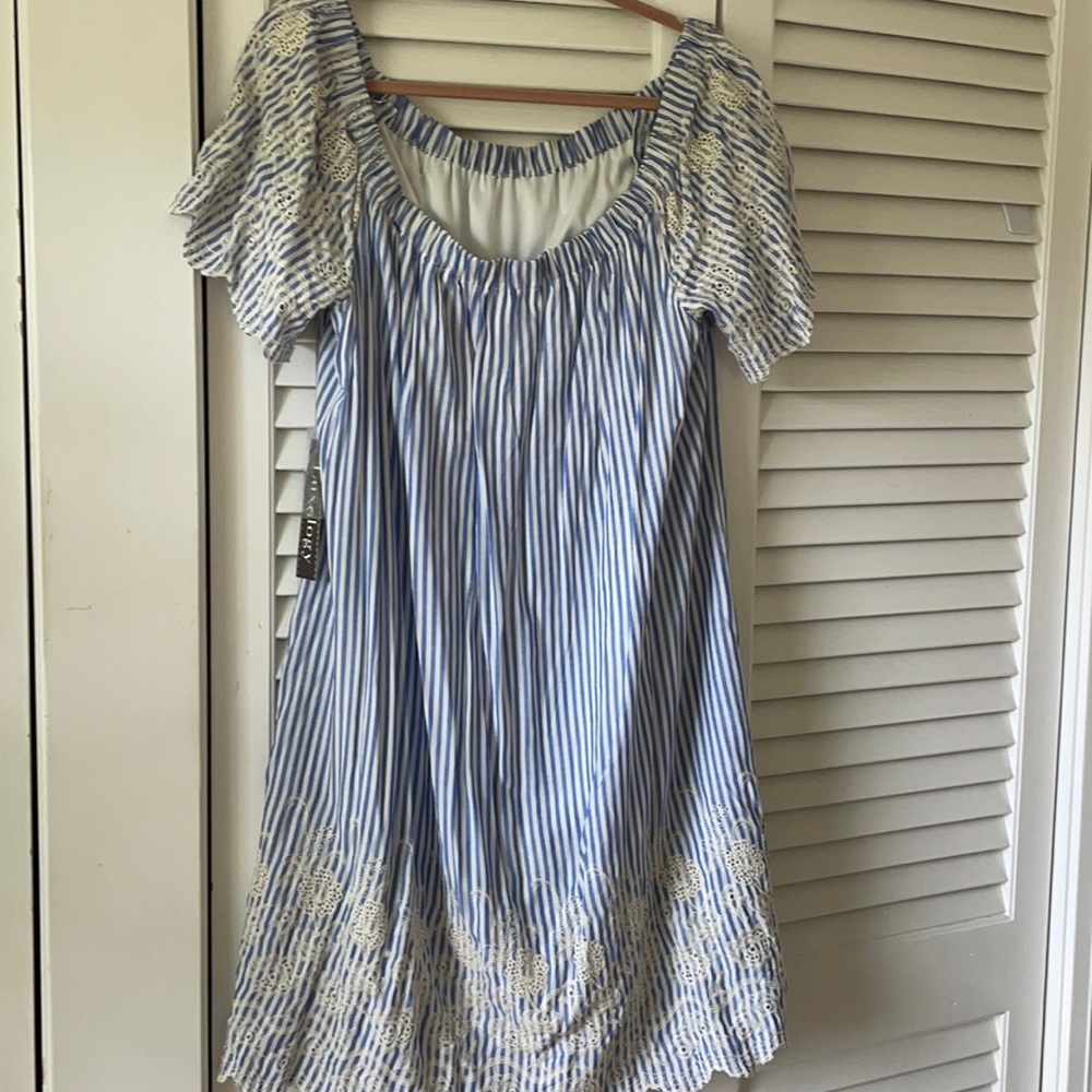 Luxology Dress, size18